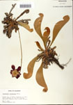 000058536-thumbnail.jpg