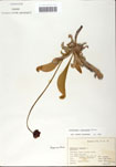 000058537-thumbnail.jpg