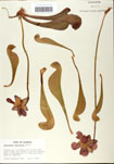 000058539-thumbnail.jpg