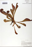 000058540-thumbnail.jpg