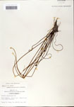 000058574-thumbnail.jpg