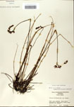 000058575-thumbnail.jpg