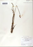 000058576-thumbnail.jpg