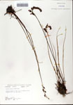 000058578-thumbnail.jpg
