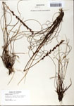 000058579-thumbnail.jpg
