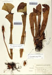 000058581-thumbnail.jpg