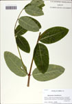 000058602-thumbnail.jpg