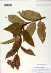 000058608-thumbnail.jpg