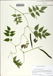 000058643-thumbnail.jpg