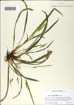 000058649-thumbnail.jpg