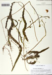 000058721-thumbnail.jpg