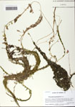 000058722-thumbnail.jpg
