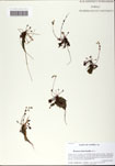000058727-thumbnail.jpg