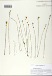000058730-thumbnail.jpg