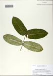 000058734-thumbnail.jpg
