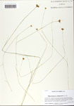 000058773-thumbnail.jpg