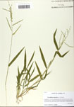 000058781-thumbnail.jpg