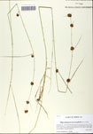 000058790-thumbnail.jpg
