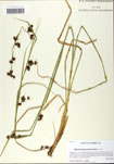 000058791-thumbnail.jpg