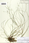000058804-thumbnail.jpg
