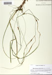 000058805-thumbnail.jpg