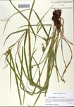 000058810-thumbnail.jpg