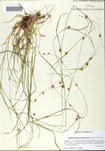 000058811-thumbnail.jpg