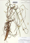 000058894-thumbnail.jpg