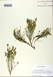 000058910-thumbnail.jpg