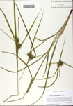 000058940-thumbnail.jpg