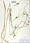 000058949-thumbnail.jpg
