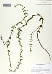 000058957-thumbnail.jpg