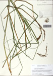 000058967-thumbnail.jpg