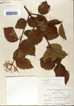 000059106-thumbnail.jpg