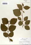 000059108-thumbnail.jpg