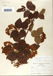 000059125-thumbnail.jpg