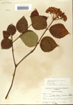 000059126-thumbnail.jpg