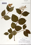 000059128-thumbnail.jpg