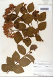 000059130-thumbnail.jpg