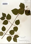 000059134-thumbnail.jpg