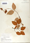 000059139-thumbnail.jpg