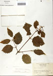 000059147-thumbnail.jpg