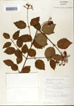 000059162-thumbnail.jpg