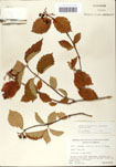 000059163-thumbnail.jpg