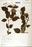 000059164-thumbnail.jpg
