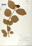 000059165-thumbnail.jpg