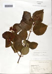 000059166-thumbnail.jpg