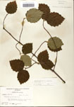 000059169-thumbnail.jpg