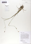 000059390-thumbnail.jpg
