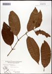 000059531-thumbnail.jpg